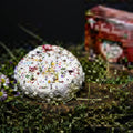 Bio Camembert, mit Almkräutern, 180 Gramm, Tirol, 6 Tage Lieferzeit